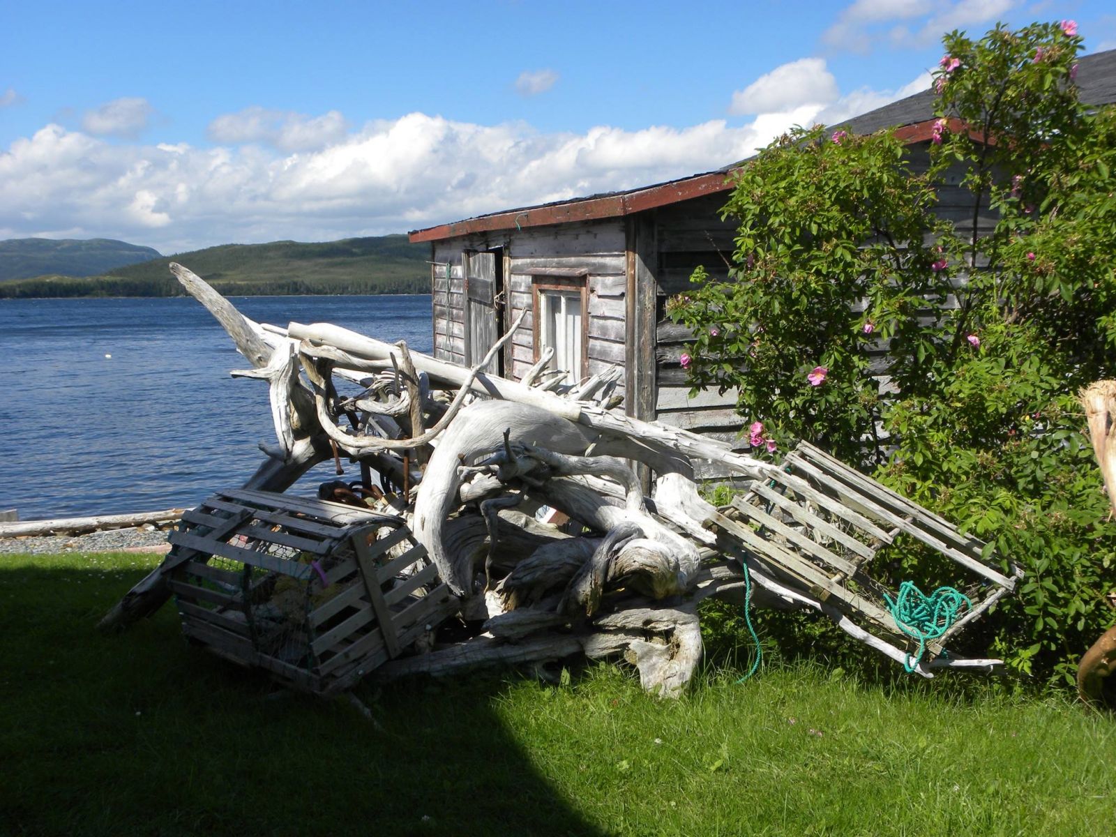 Gallery Woody Island Resort